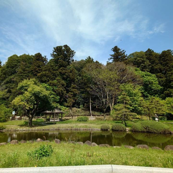おはようございます☀︎