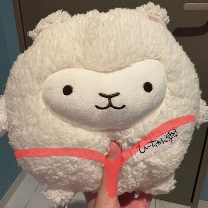 時間いっぱい1番奥に🐑