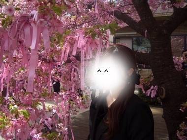 お花見した？？🌸