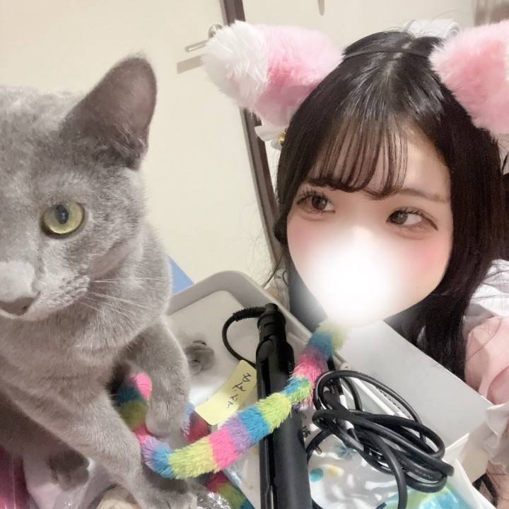 ( ΦωΦ )