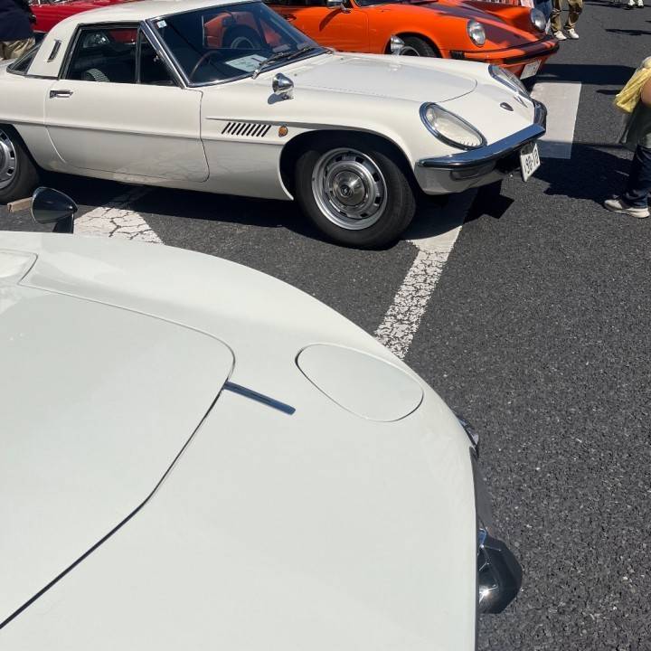 車と唐辛子