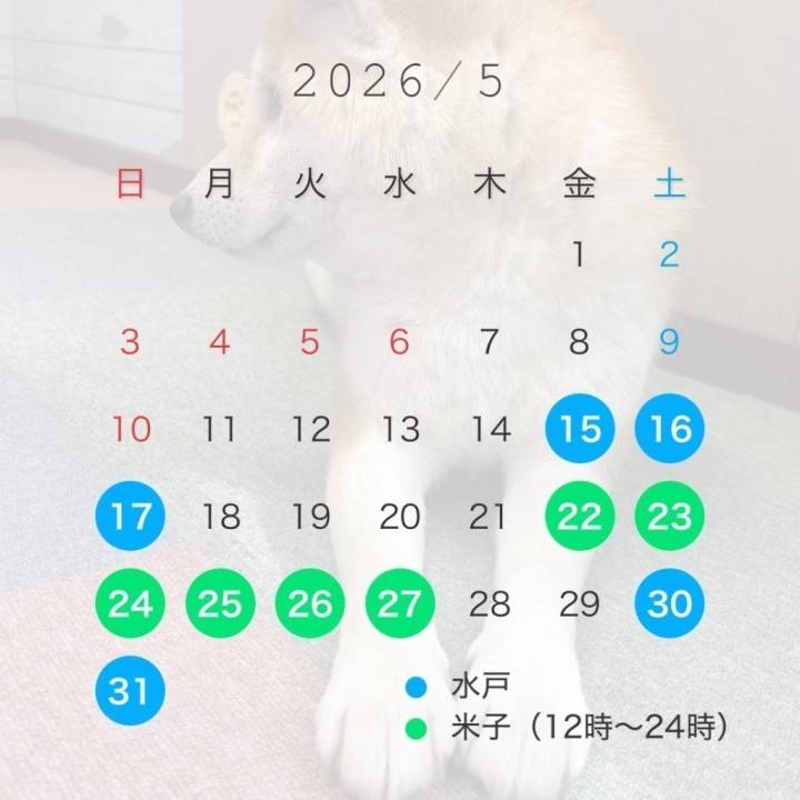 5月も可愛がってね☺️✌🏻💗