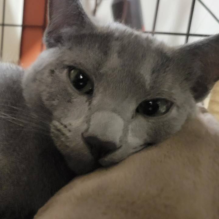 えびすーーーー