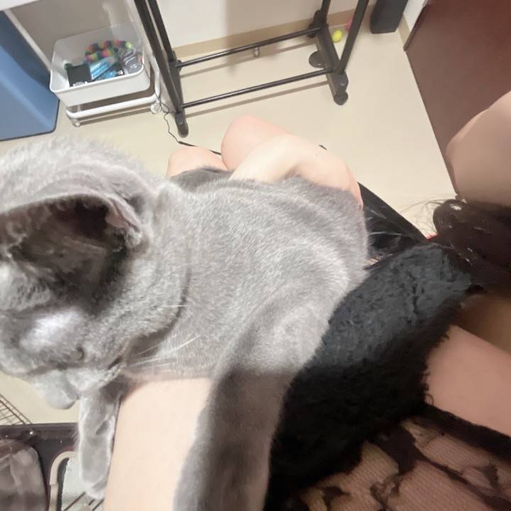 締めえ♡ち