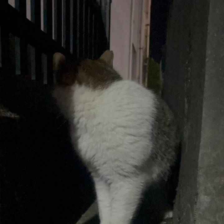 最後水戸