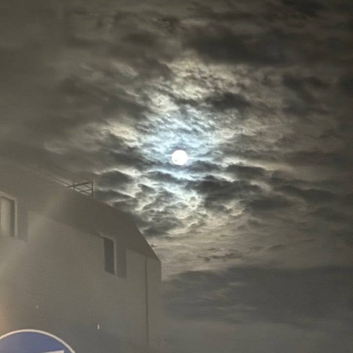 ぽよぽよありがぽよ