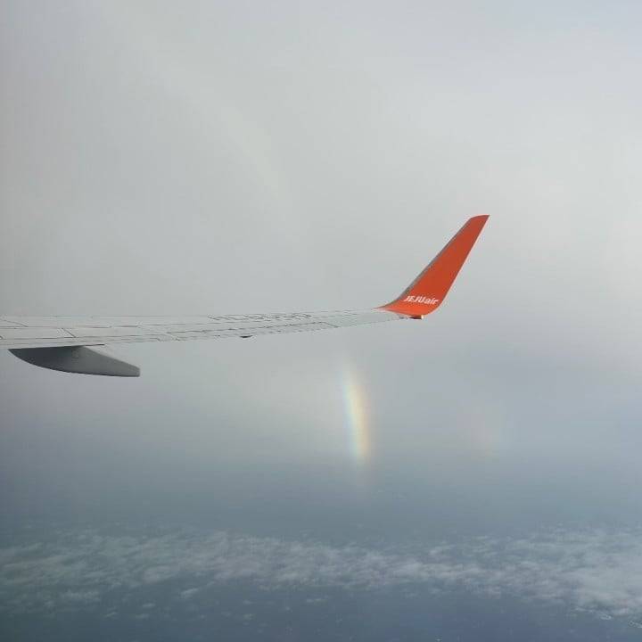 福岡ただいま✈️