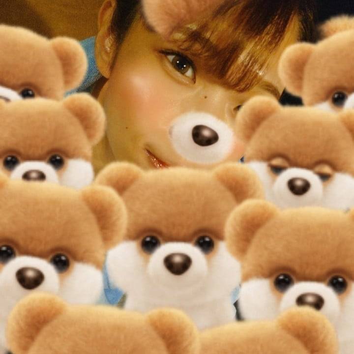 クマだらけ🧸
