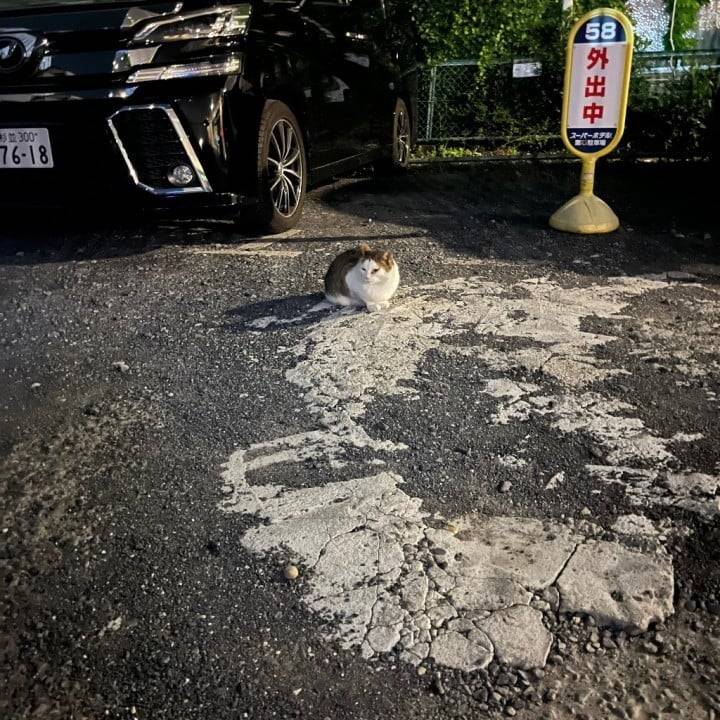にゃ