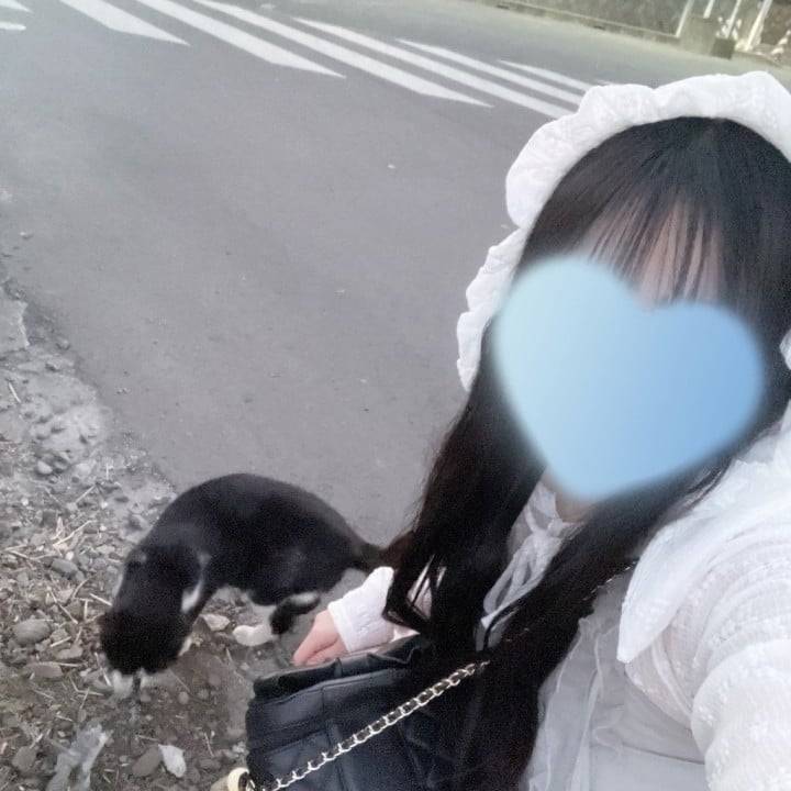 今日もᐡ⸝⸝>̫ <⸝⸝ᐡ