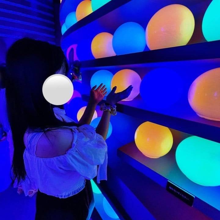 今日から🌟
