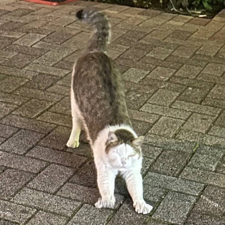 のび〜…🐿️