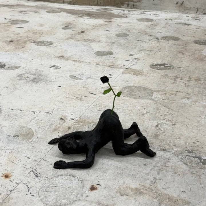 ‎🤍