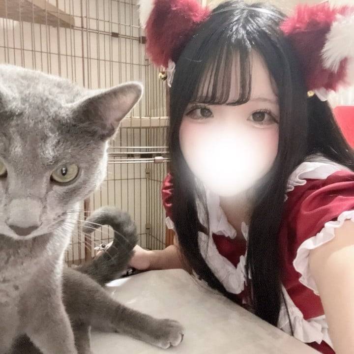 遅くなりました( > <꧞)