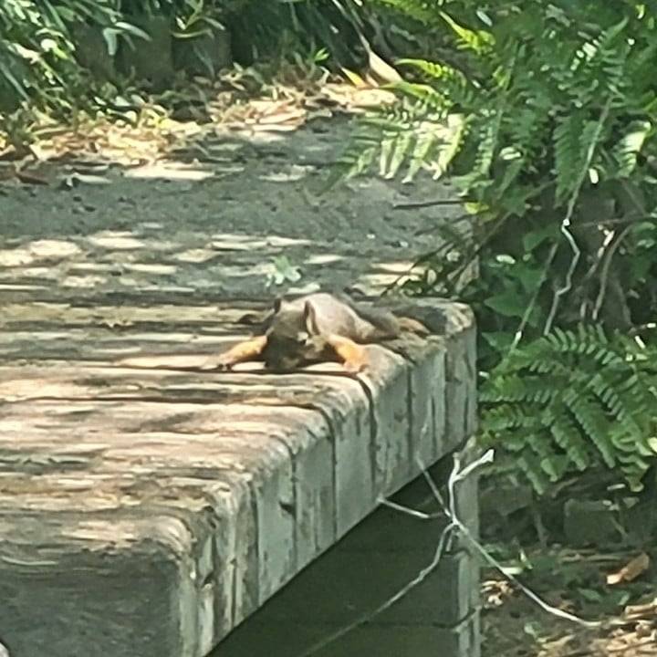 今日はどんな一日だった〜?