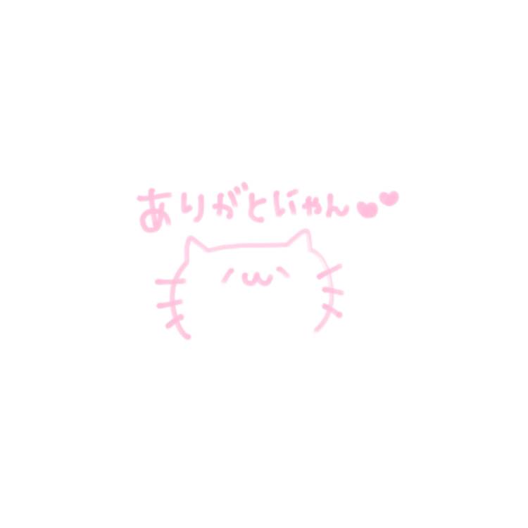 お友達の仲良し様へ🐈🐾