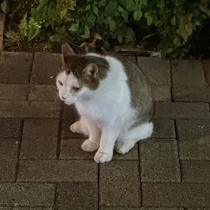 水戸4日間🩷✨ありがとうございました🙈💕✨