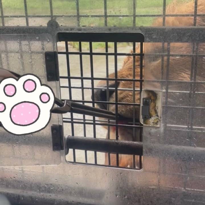 さっそく夏の思い出🦁