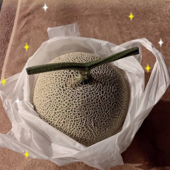 メロン〜！