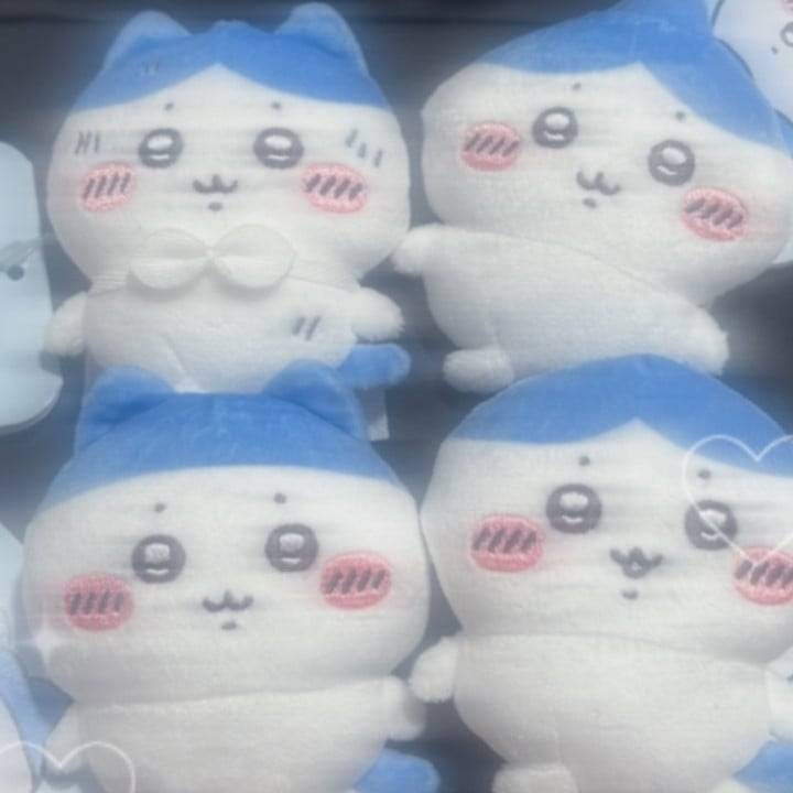 急遽❕