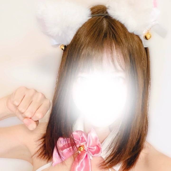 ねこ🤍🩷