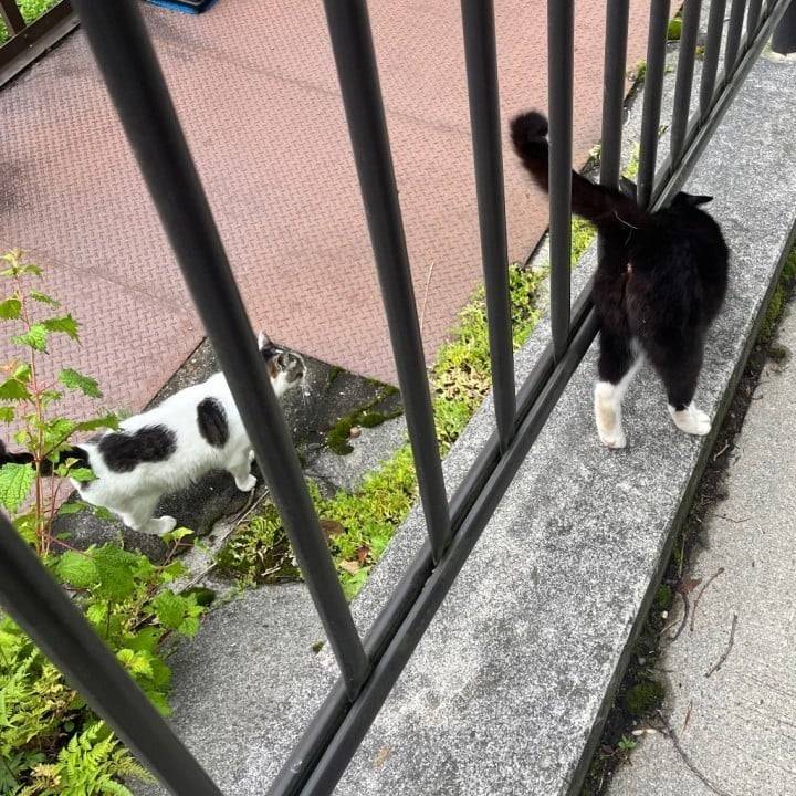 またあした！