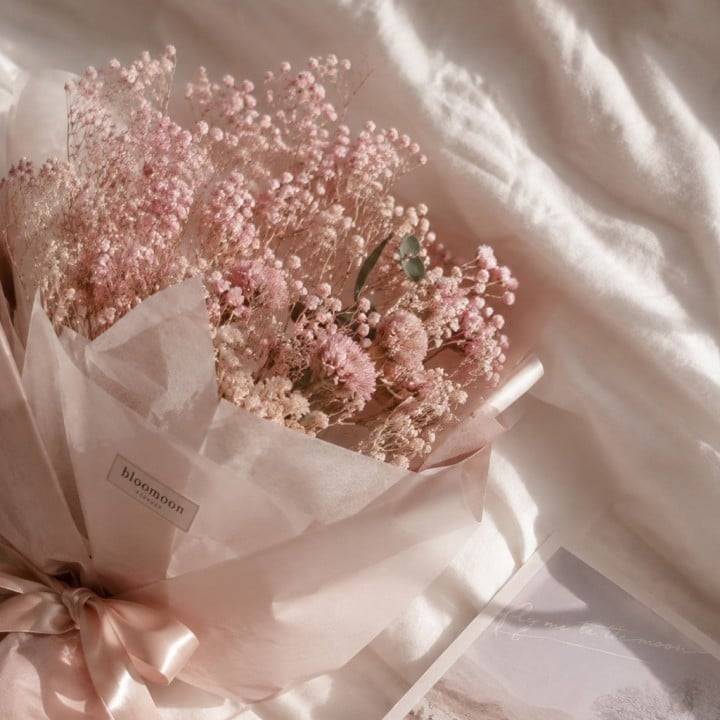 🌱