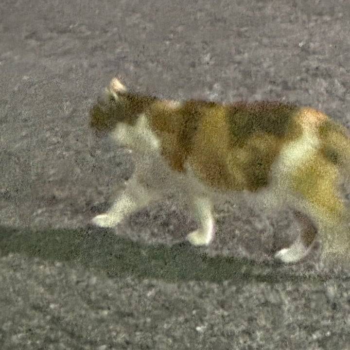 出会いに感謝👊🏻✨✨✨