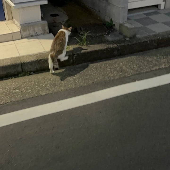 退勤🎶⊂(  ᴖ ̫ᴖ)⊃🎶