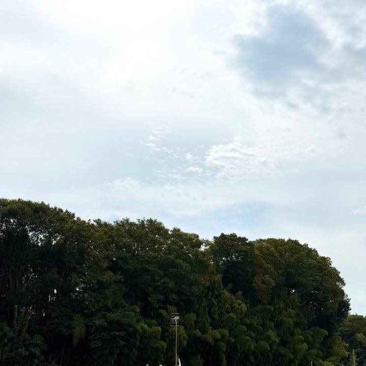 今朝の出来事🎧