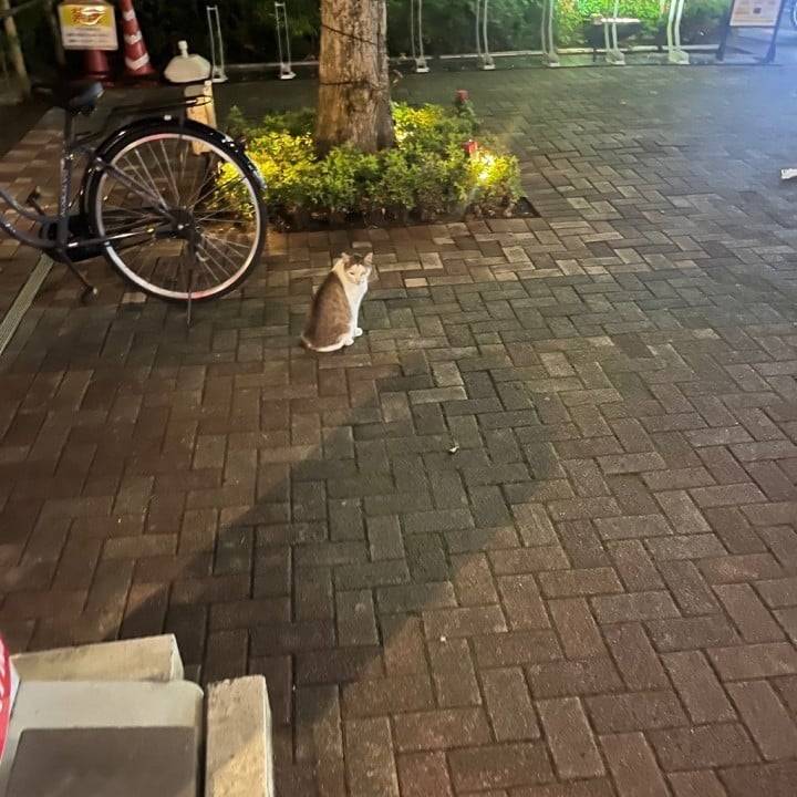 おはよ♡♡