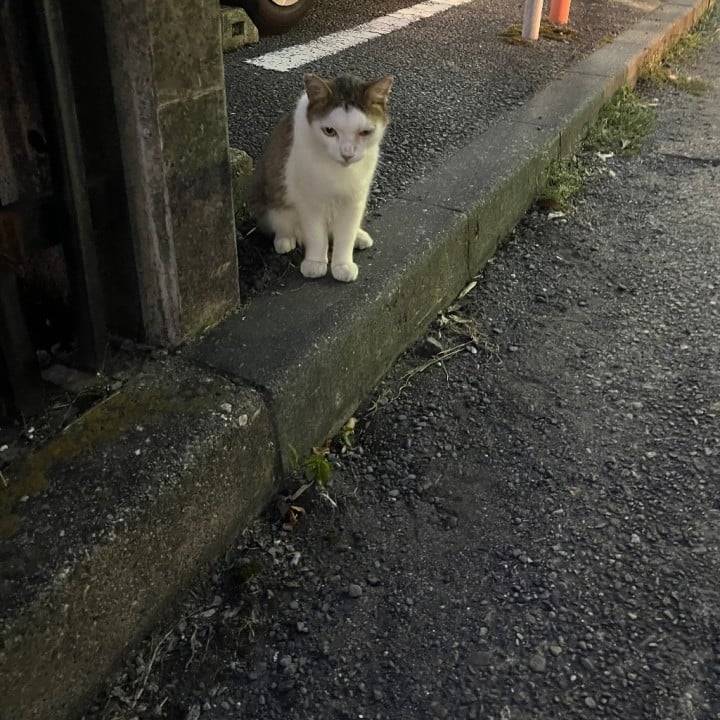にゃ