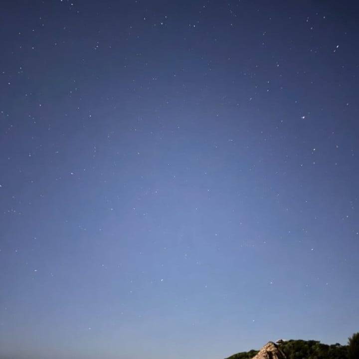 おやしゅみ