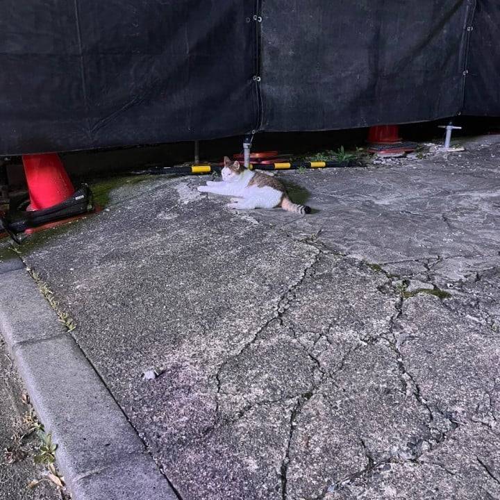 ありがとう♡♡
