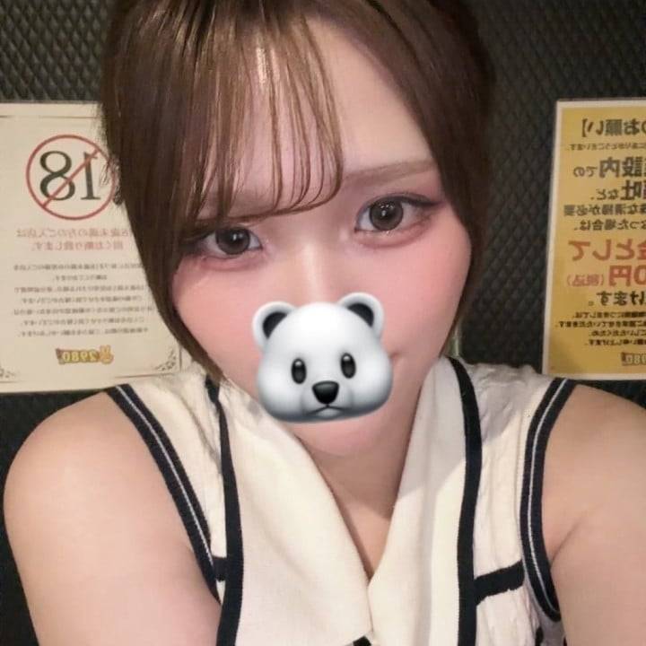 こんばんわん