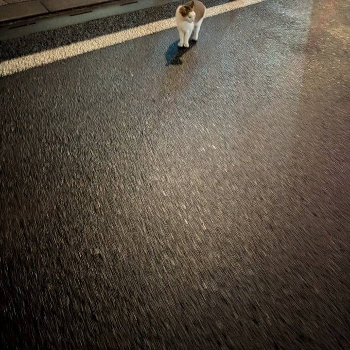 そうかです♡　最終日🔚