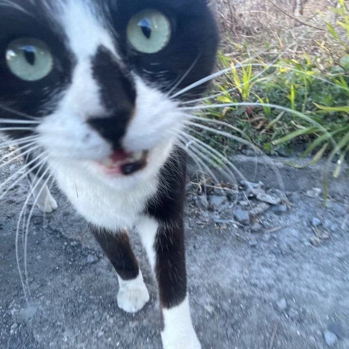 泣き泣き