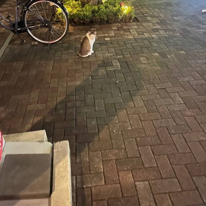 にゃ