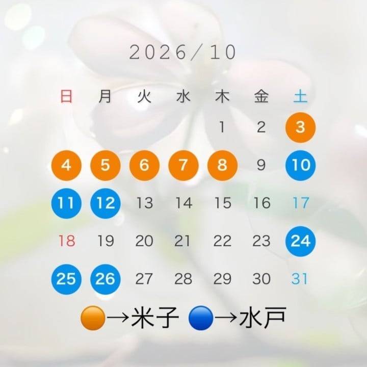 10月日程✅