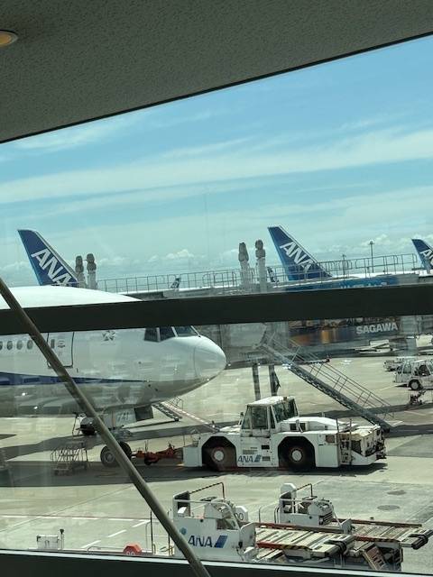 行ってきます