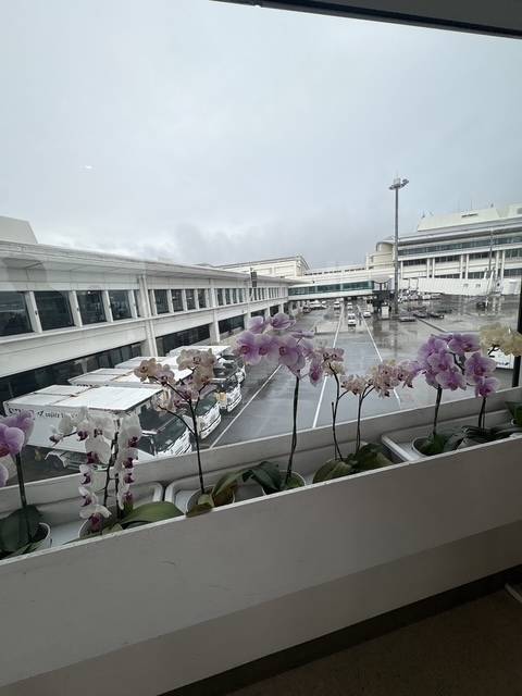 沖縄参上
