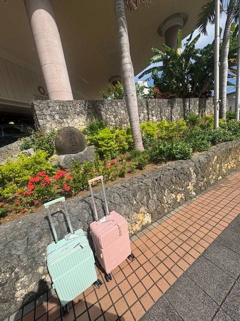 これから帰ります