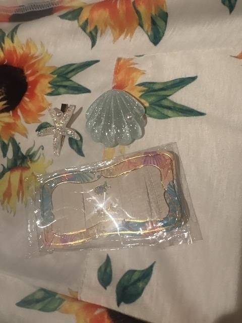 沖縄エピ秘密のミッション編