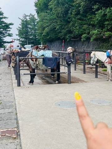 富士🗻登山報告　④