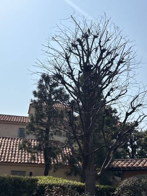 曇り時々晴れ