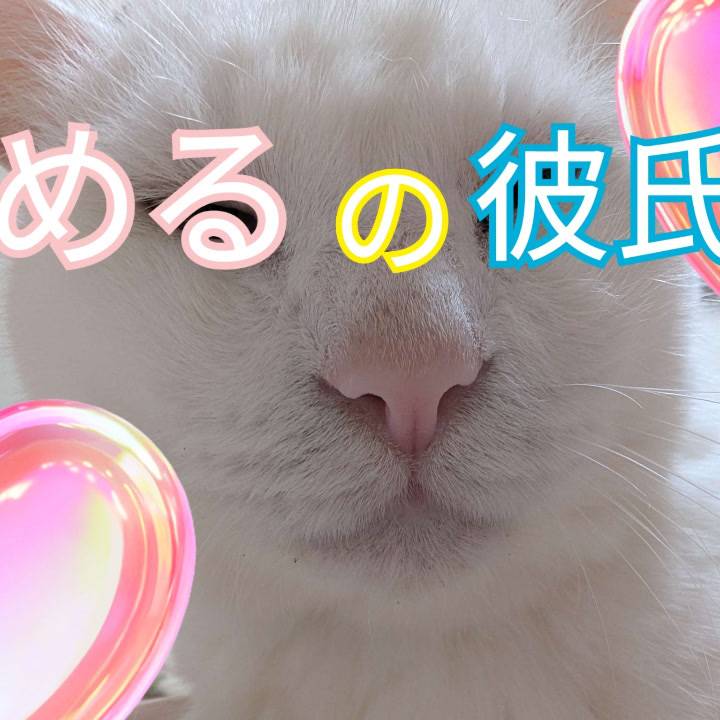 急いで〜🙇