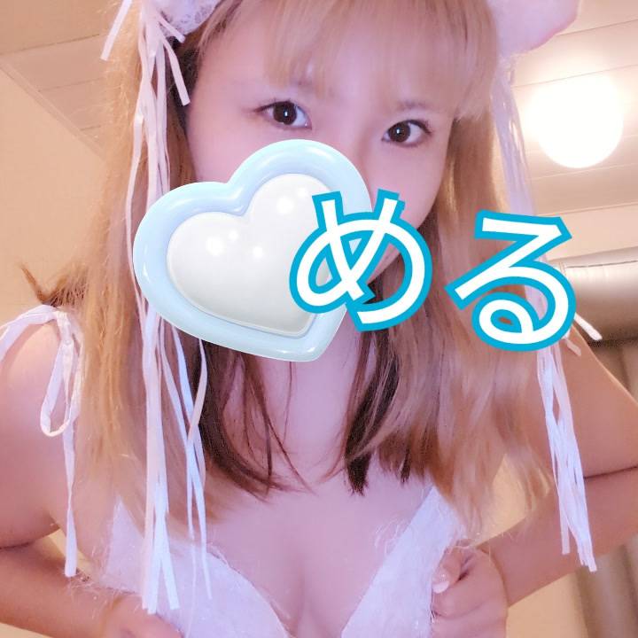 白猫める🐱