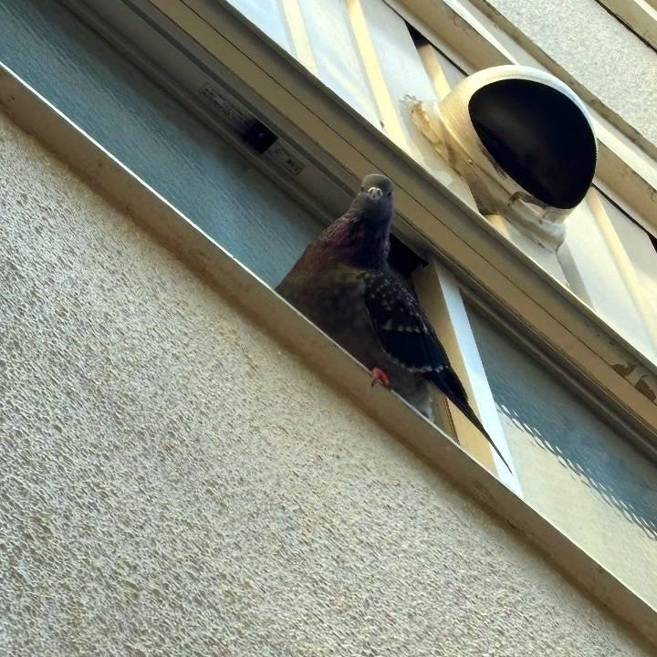 本日土浦滞在最終日でした