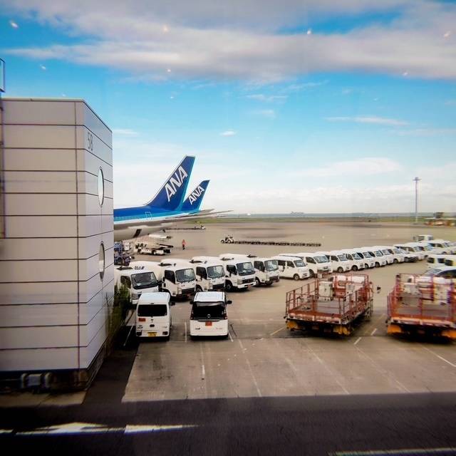 1週間ぶりの🏠