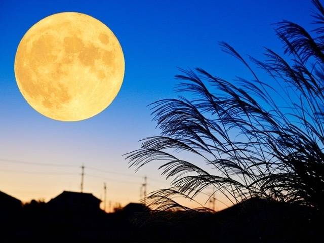 ビーバームーン